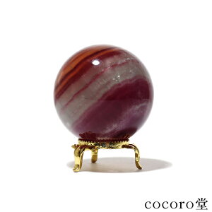 VR p[Xg[ y_́zt[Cg ۋ u t TCYFa57mm dF309g fB[X Y   y[֕sz