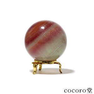 VR p[Xg[ y_́zt[Cg ۋ u t TCYFa55mm dF279g fB[X Y   y[֕sz