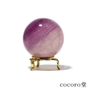 VR p[Xg[ y_́zt[Cg ۋ u t TCYFa53mm dF248g fB[X Y   y[֕sz