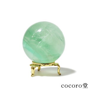 VR p[Xg[ y_́z t[Cg C{[ ۋ u t TCYFa53mm dF260g fB[X Y   y[֕sz