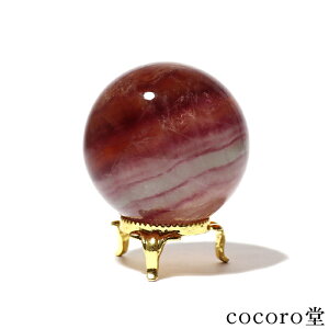 VR p[Xg[ y_́zt[Cg ۋ u t TCYFa53mm dF258g fB[X Y   y[֕sz