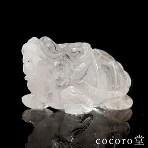 VR p[Xg[ y_́z  C{[ T OC  J^ u TCYF50×84×44mm dF247g fB[X Y   y[֕sz