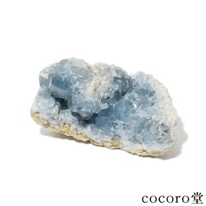 VR p[Xg[ y_́z }_KXJY ZX^Cg  u TCYF63×100×58mm dF431g fB[X Y   y[֕sz