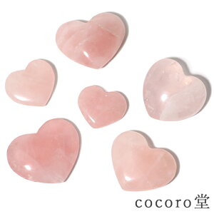 yAEgbgz LYEJP VR p[Xg[ [YNH[c n[g u TCYF23`35×28`41×8`15mm dF9`29g fB[X Y   VR