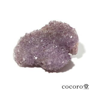 VR p[Xg[ y_́z ChY T{e AWXg  u TCYF97×51×74mm dF392g fB[X Y   y[֕sz