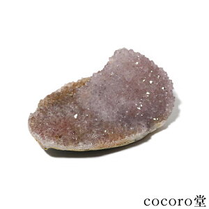 VR p[Xg[ y_́z ChY T{e AWXg JN^XAWXg  u TCYF129×90×59mm dF478g fB[X Y   y[֕sz