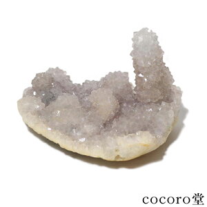 VR p[Xg[ y_́z ChY T{e AWXg JN^XAWXg  u TCYF107×78×67mm dF337g fB[X Y   y[֕sz