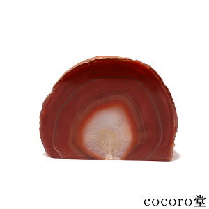 VR p[Xg[ y_́z mE  u pؐt t TCYF119×59×84mm dF452g ܂ fB[X Y   y[֕sz