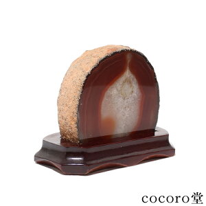 VR p[Xg[ yiz mE  u pؐt t TCYF65×115×90mm dF453g ܂ fB[X Y   y[֕sz