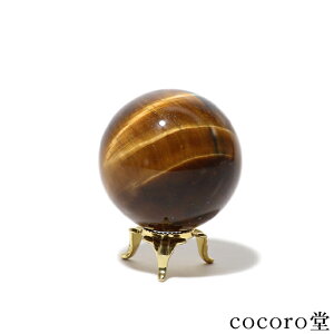 VR p[Xg[ yiz ^CK[AC ۋ u t TCYFa44mm dF122g fB[X Y   y[֕sz