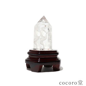 VR p[Xg[ y_́z  C{[ ܒܗ |Cg u pؐt TCYF84×89×125mm dF371g ܂ fB[X Y   y