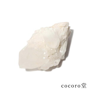 VR p[Xg[ yiz }_KXJY LhNH[c pCibvNH[c   u TCYF60×59×112mm dF324g fB[X Y   y[