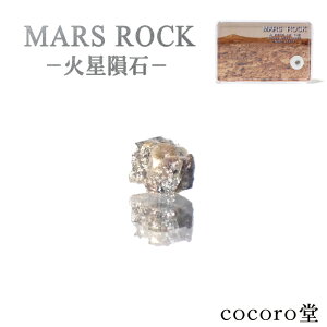 VR p[Xg[ ΐ̐ MarsRock u P[Xt ΃TCYF2`3mm P[XTCYF3.5×5.5cm fB[X Y   yʌzy[֕sz