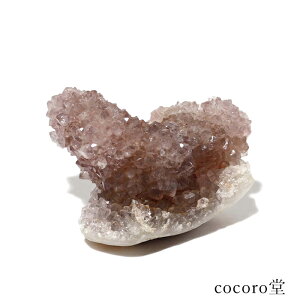 VR p[Xg[ yiz ChY T{e AWXg JN^XAWXg  u TCYF71×88×60mm dF328g fB[X Y   y[֕sz