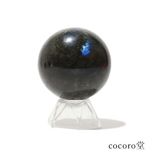 VR p[Xg[ yiz}_KXJY uhCg ۋ u NAt TCYFa60mm dF310g fB[X Y   y[֕sz