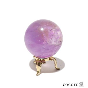 VR p[Xg[ yiz x_[ AWXg C{[ ۋ u t TCYFa38mm dF81g fB[X Y   y[֕sz