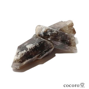 VR p[Xg[ yiz I  |Cg u TCYF42×49×119mm dF225g fB[X Y   y[֕sz