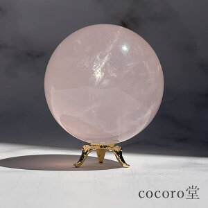 VR p[Xg[ yiz [YNH[c ۋ u t TCYFa56mm dF245g fB[X Y   y[֕sz