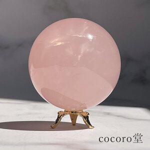 VR p[Xg[ yiz [YNH[c C{[ ۋ u t TCYFa53mm dF217g fB[X Y   y[֕sz