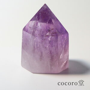 VR p[Xg[ yiz AWXg C{[ |Cg u TCYF26×31×42mm dF47g fB[X Y   y[֕sz