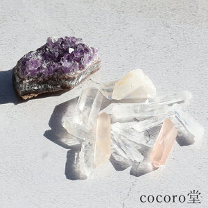 VR p[Xg[ yזz AWXg NX^[  A V[h NX^ A |Cg Zbg u eʁF100g fB[X Y   y