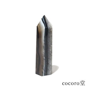 VR p[Xg[ yiz ubNmE  |Cg u [ TCYF22×23×83mm dF81g fB[X Y  