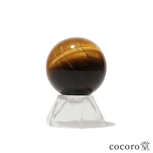 VR p[Xg[ yiz ^CK[AC ۋ u NAt TCYFa44mm dF125g fB[X Y   y[֕sz