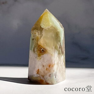 VR p[Xg[ yiz `F[ubTAQ[g ΂烁mE |Cg u  TCYF24×29×58mm dF59g fB[X Y   y[֕s