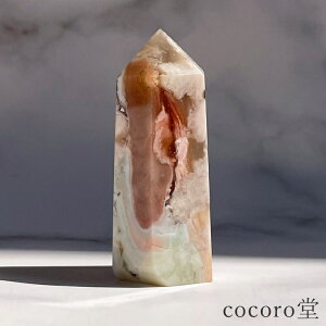 VR p[Xg[ yiz `F[ubTAQ[g ΂烁mE |Cg u TCYF21×25×58mm dF46g fB[X Y  