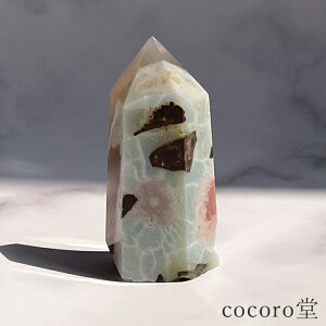 VR p[Xg[ yiz `F[ubTAQ[g ΂烁mE |Cg u  TCYF22×32×67mm dF70g fB[X Y  