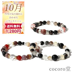 天然石 パワーストーン ブレスレット 【10月限定 ☆月替わり 】※説明書付き ラッピング無料 金運 財運 仕事運 恋愛 結婚 家庭円満 癒し 人間関係 幸運 成功運 勝負運 厄除 トルマリン オニキス 誕生石 アクセサリー ゴム メール便送料無料 a5h