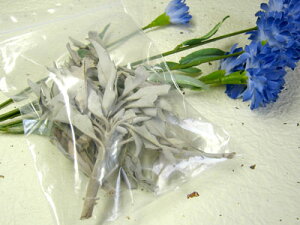 VR p[Xg[ uXbg 򉻗p zCgZ[W 10g _ p[Xg[ fB[X Y Mtg v[g 蕨 j  j  a bsO 