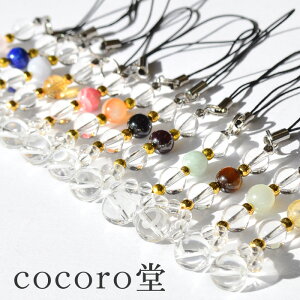 VR p[Xg[ yזz Iׂ12  x Xgbv J[ht SF12.5cm ΃TCYF10A8A4mm fB[X Y   Mtg v[g j 