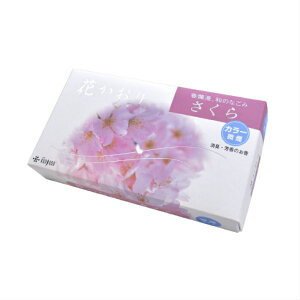 y̍ ^CvzԂ肳 ^Cv oy    O Mtg p  Y {z