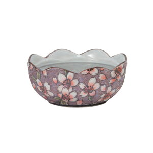 yQMz܂iLc / FjyF  { Lc QF   Xz