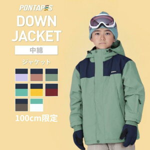 sXg1_tXL[EFA WPbg Xm[{[hEFA 100 V[O[ V h  LbY xr[ Xm[{[h {[hEFA Xm{EFA WjA Xm{ Xm{[ EFA 