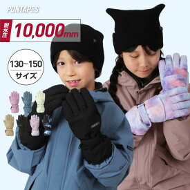 全品10%OFF券配布中 スノーボード スキー グローブ スノーボードグローブ スキーグローブ キッズ スノボ スノボー スキー スノボグローブ スノボーグローブ スノーグローブ ジュニア 男の子用 女の子用 子供用 手袋 5本指 ロングカフ 雪遊び PJR-102