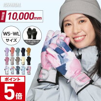 楽天市場】スノボ ゴーグル グローブ セットの通販