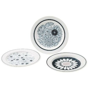 yMtgz ATJ AeBR AF88-Y02 AeBRt[ gIP[Lv[g 4105-072