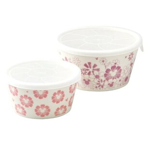 yMtgz O fBYj[ 514629 t[Et[WpbN2_Zbg 4110-035