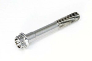 �݌ɗL�� ACTIVE �A�N�e�B�u �`�^�� �t�����W�{���g M6xP1.00 30mm(L) ���[�X�X�y�b�N SH0610030S