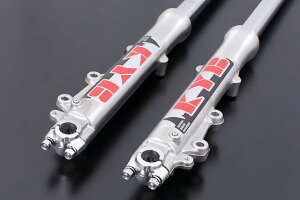 ADVANTAGE Ahoe[W KAYABA[NX^Cv@iFtH[Npj ėpi AD-25