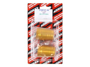 �A�O���X �o�[�G���h�^�S�[���h ZRX1200 DAEG�^Z1000 07-14 (300-479-000G)