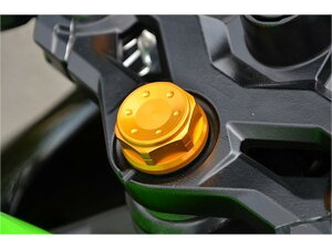 �A�O���X �g�b�v�u���b�W�Z���^�[�i�b�g GLD NINJA250SL 15 M25XP1.0 (446-025-100G)