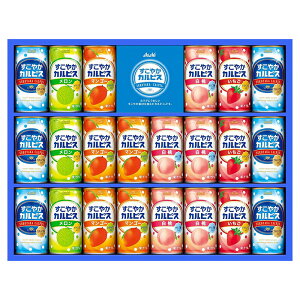 ݌ɗL  ₩JsXMtg SC30S