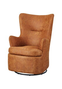 ���@�[�` ���b�L���O�`�F�A �J���[ : �L������ �\�t�@�[ ���J AZUMAYA HS-67CA