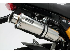 OF2013`(EBJ-JC61) }t[ BEAMS r[X SS300 \jbN SP XbvI G157-07-004