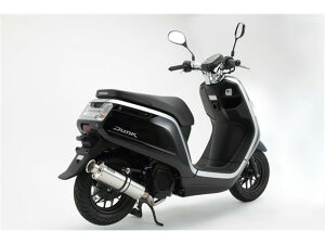 DUNK(JBH-AF74) }t[ BEAMS r[X SS300\jbN SP G169-07-000