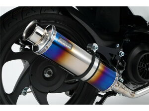 Dio110F2015`(EBJ-JF58) }t[ BEAMS r[X SS300 SP q[g`^ G170-06-000