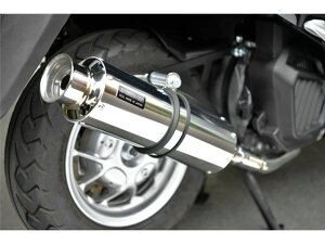 [h125F2018`(2BJ-JF45) }t[ BEAMS r[X SS300 \jbN SP tGL][Xg G189-07-000